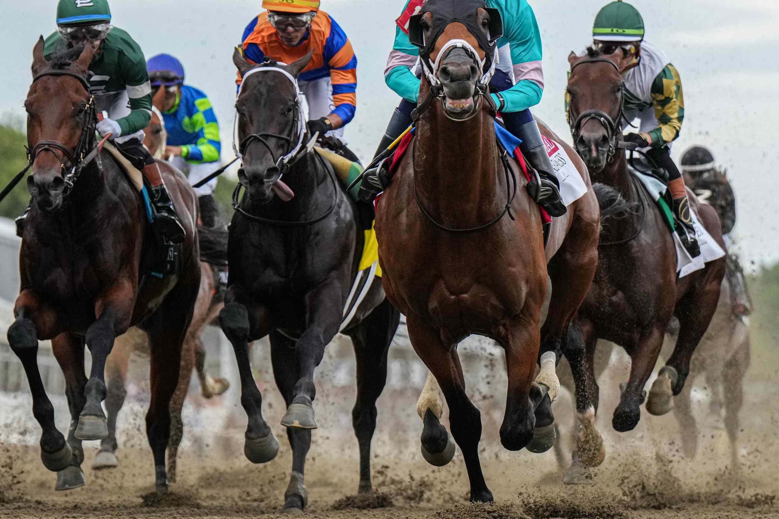Horse racing